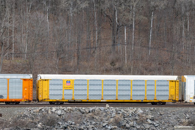 TTGX 975841