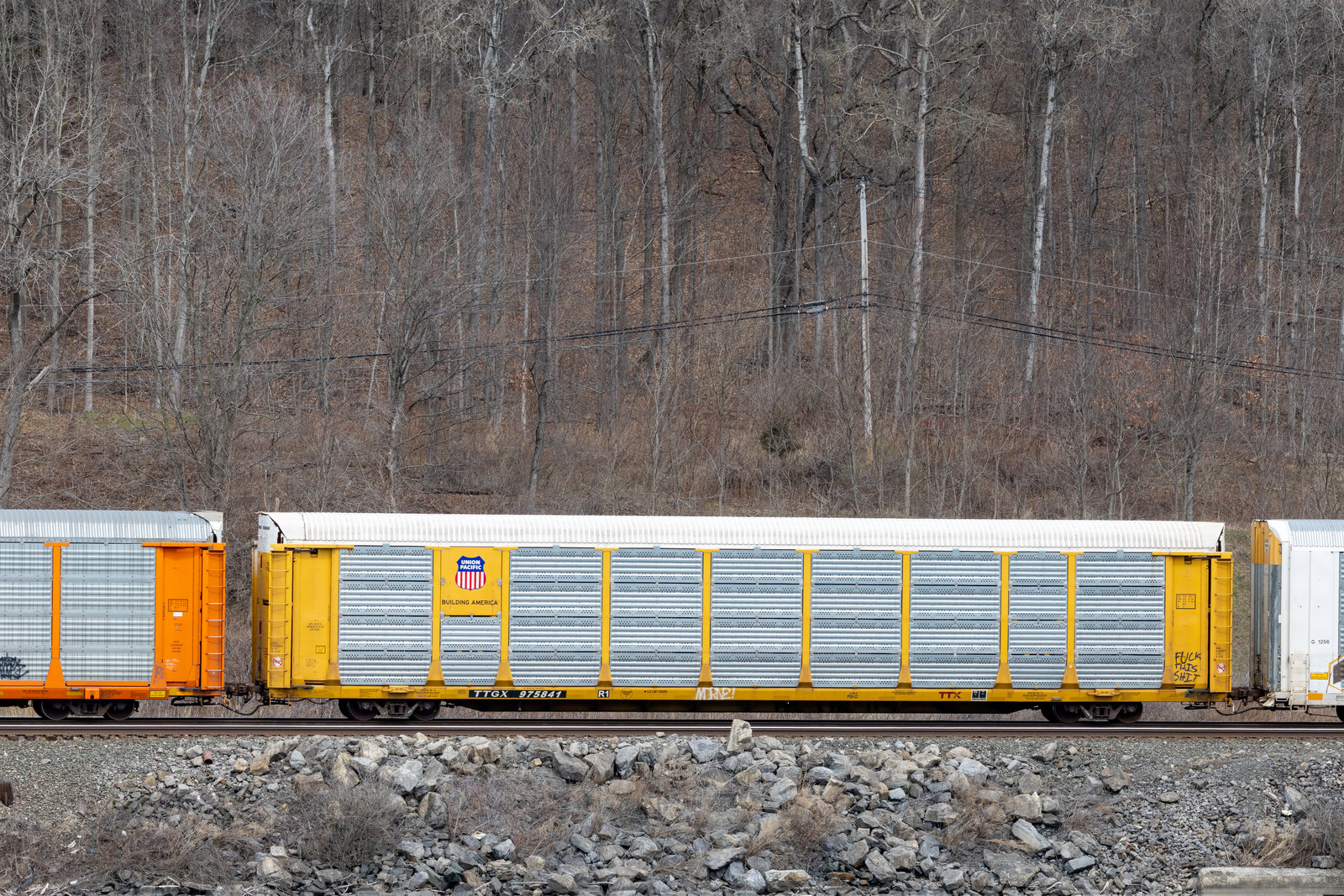 TTGX 975841
