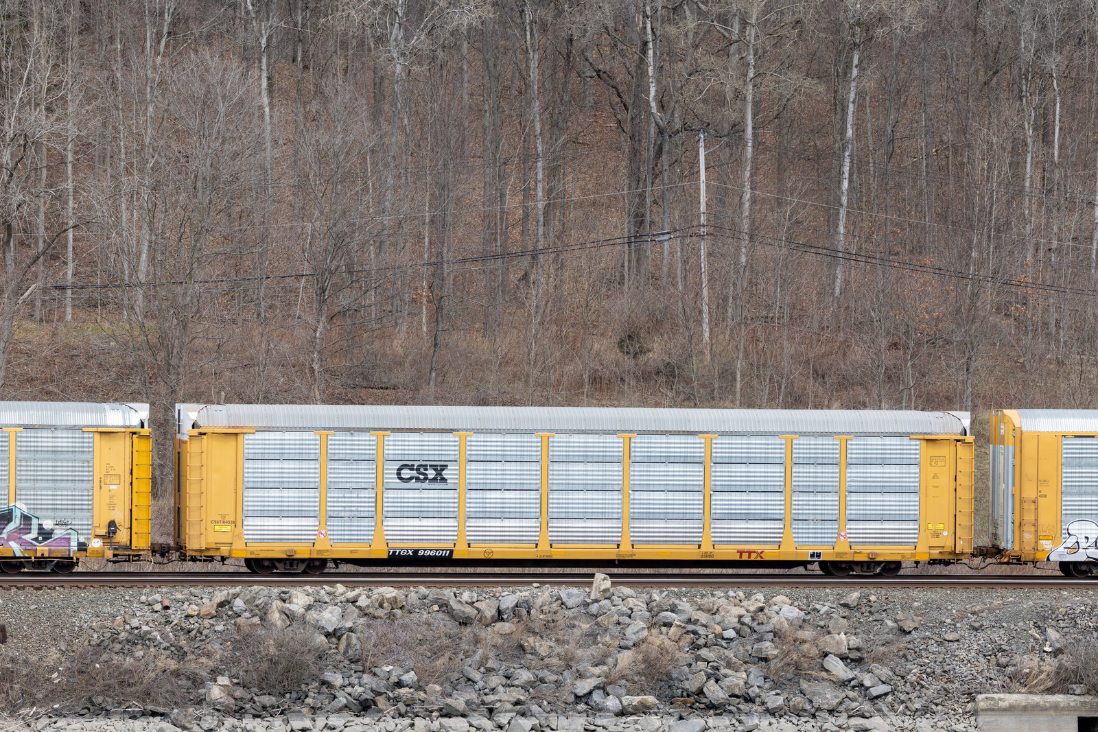 TTGX 996011