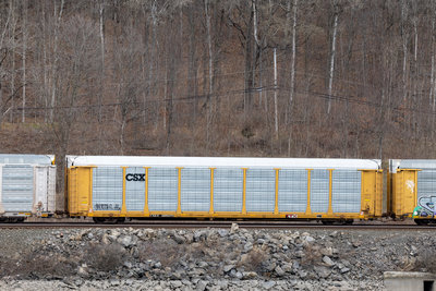 TTGX 995075