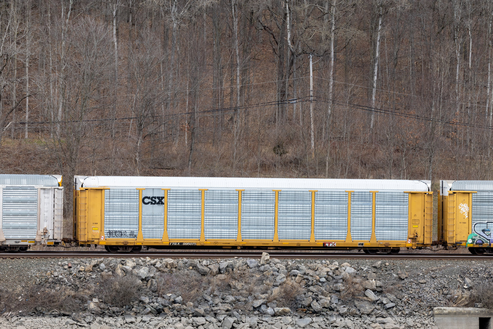 TTGX 995075