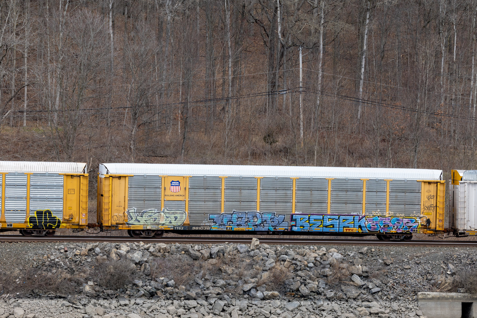 TTGX 981038
