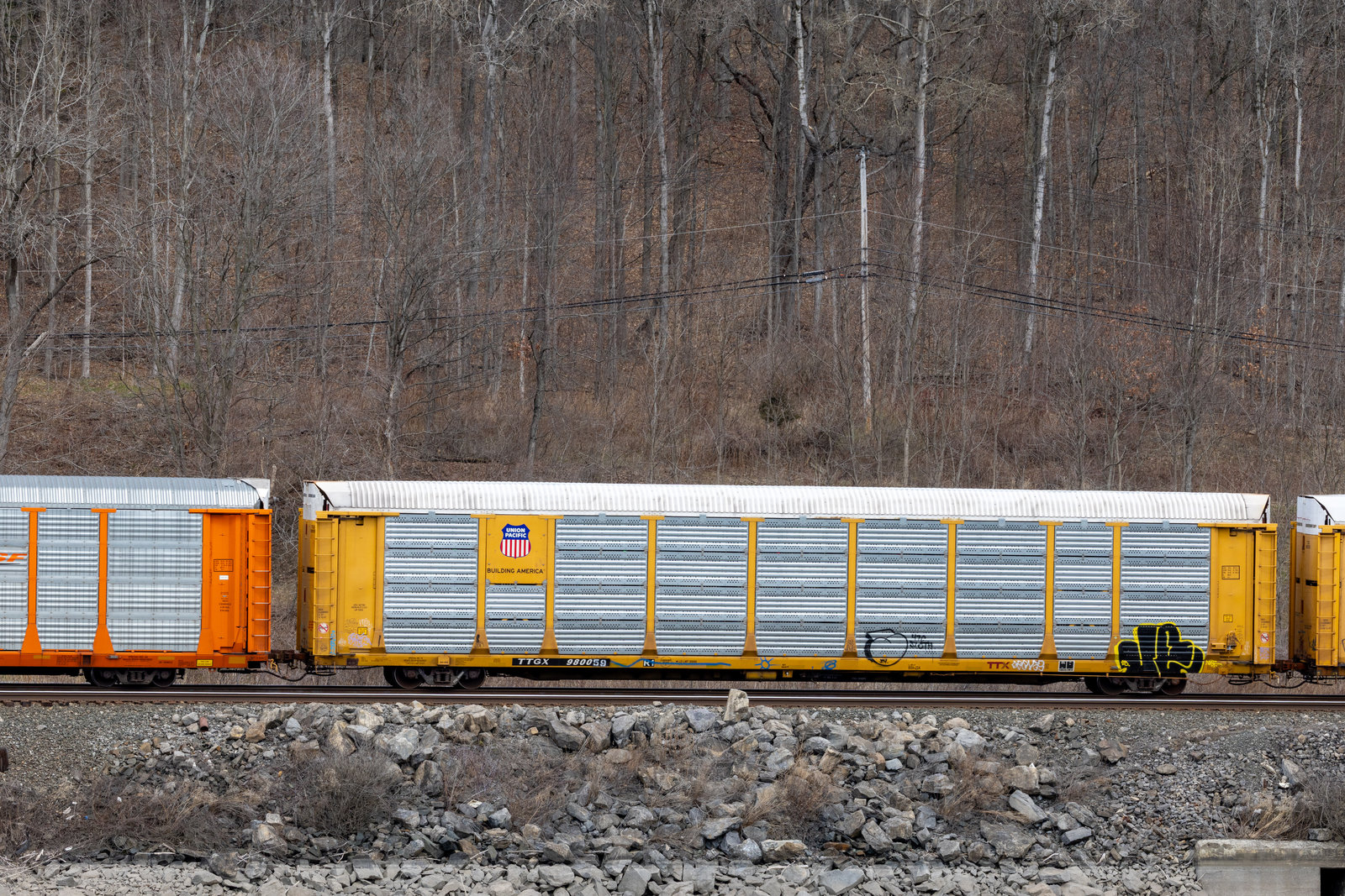 TTGX 980059