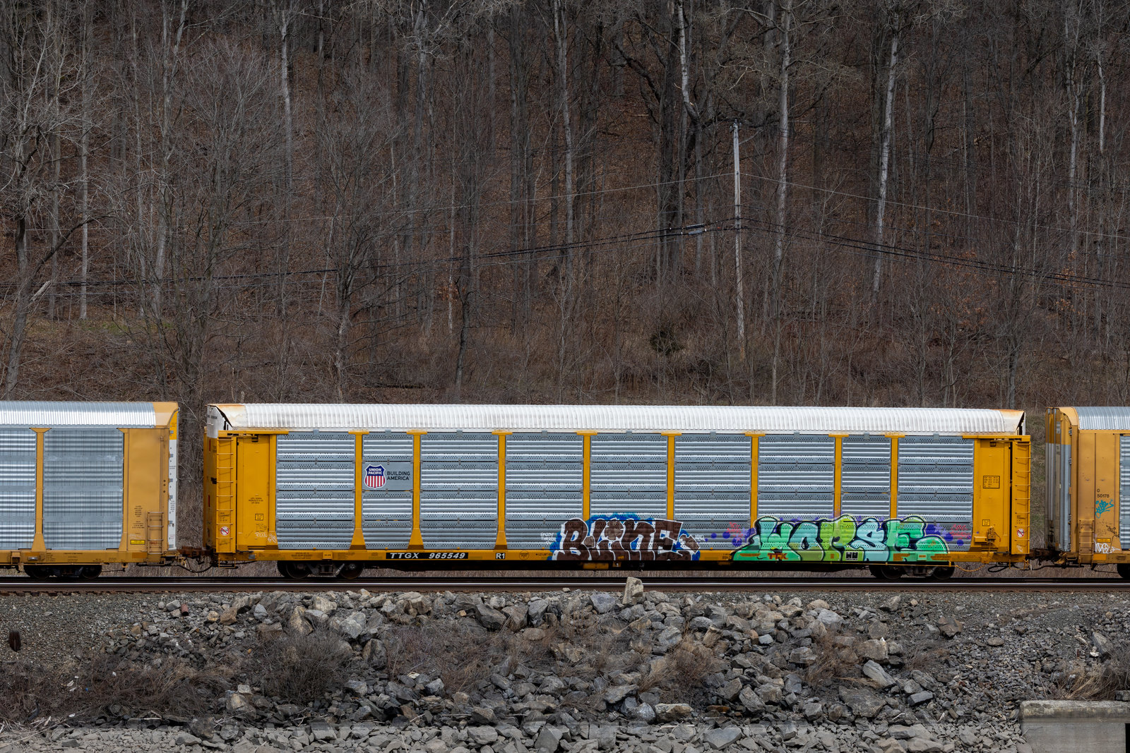 TTGX 965549