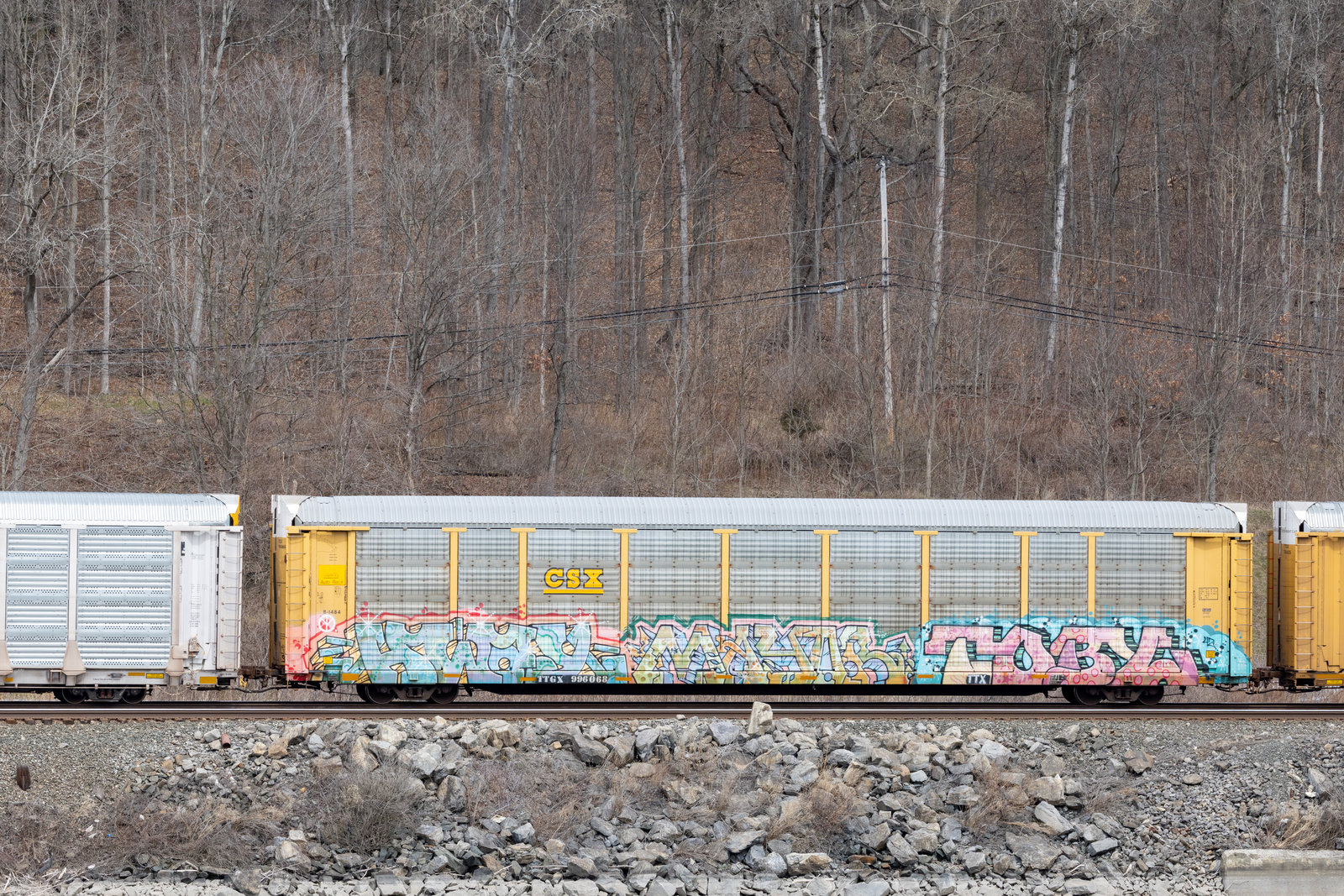 TTGX 996068