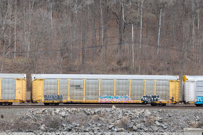 TTGX 987503