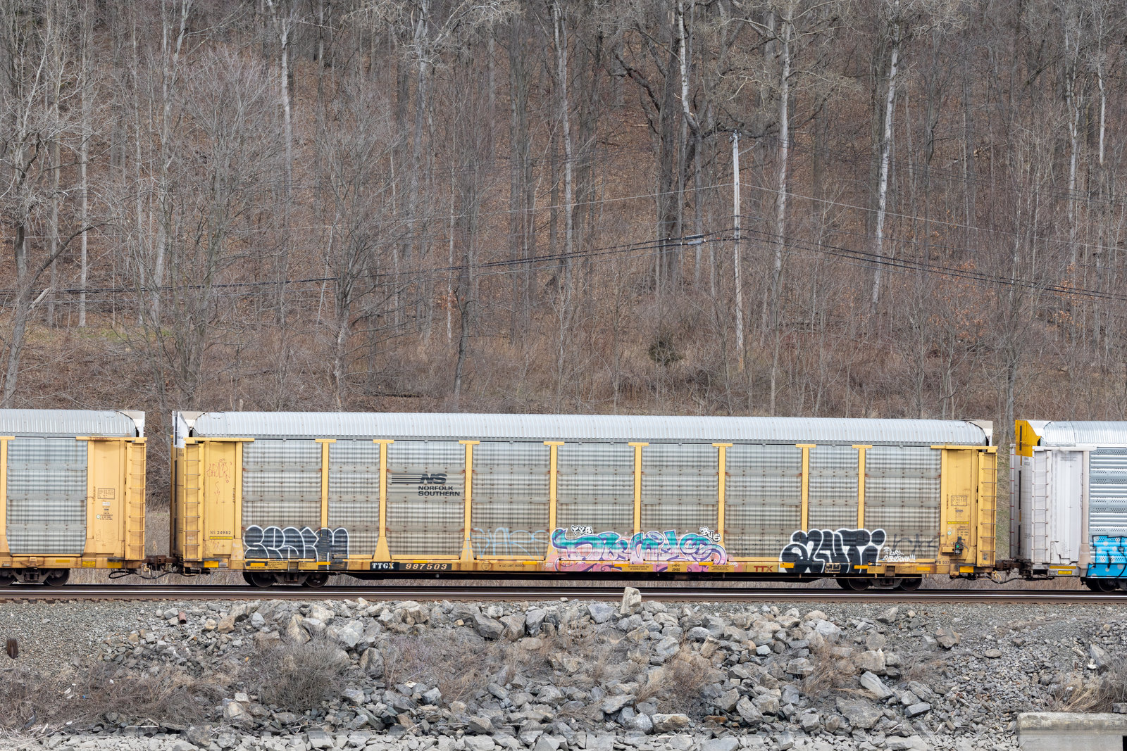 TTGX 987503