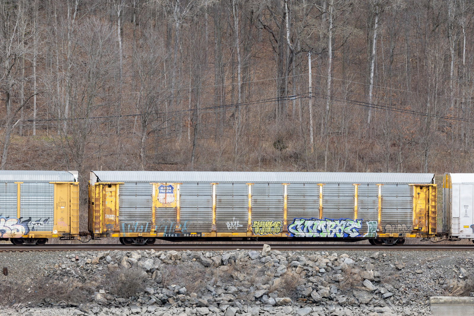 TTGX 964606
