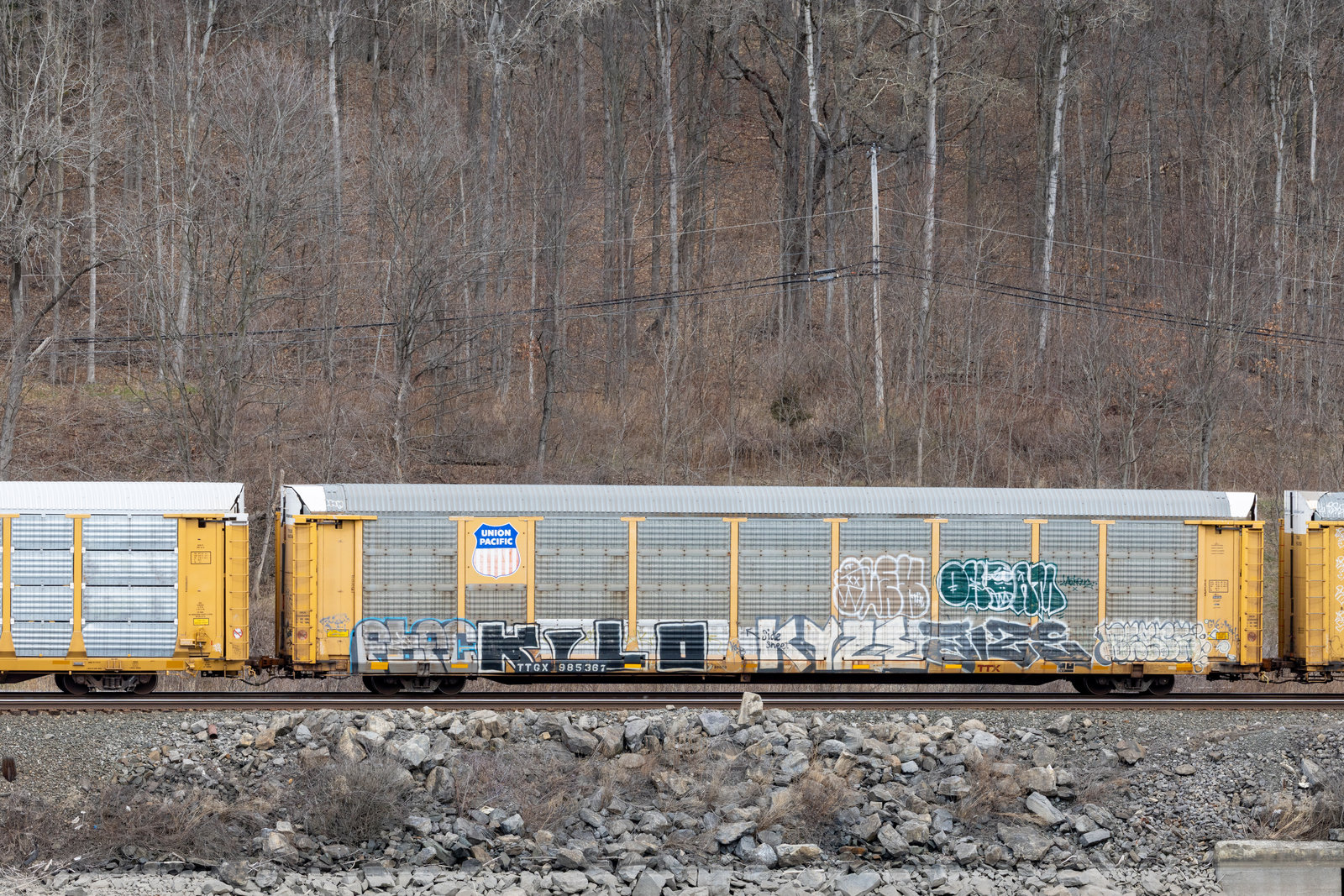 TTGX 985367