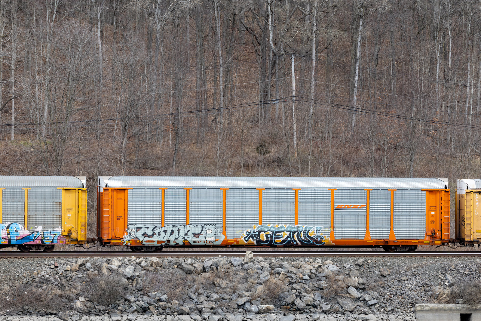 BNSF 301017