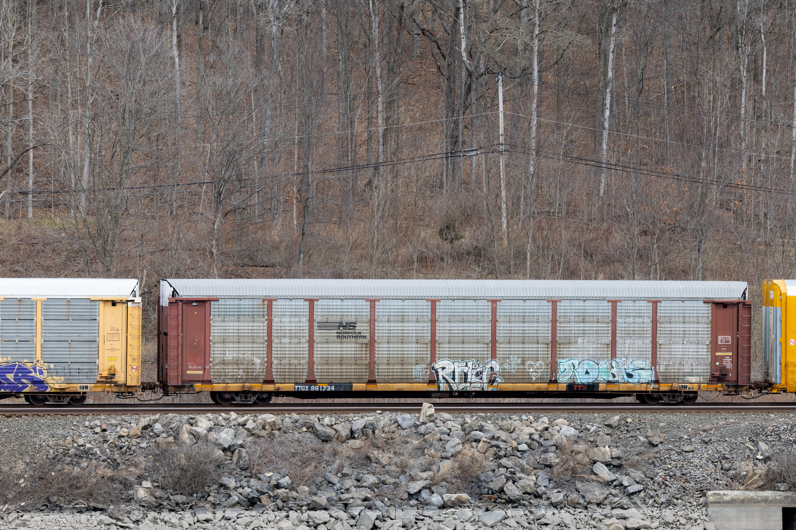 TTGX 981734