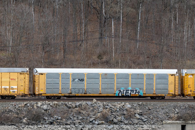 TTGX 159232