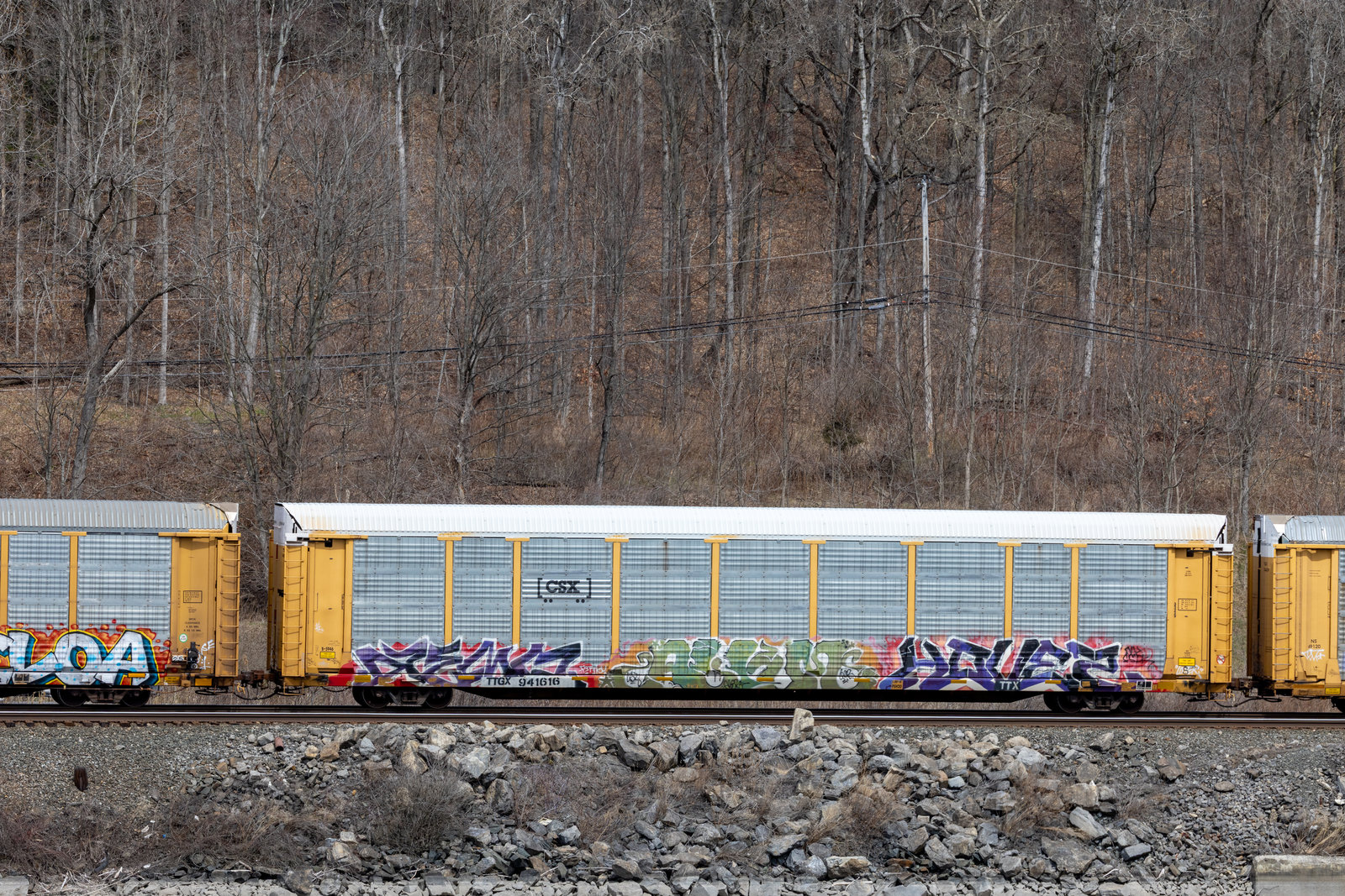 TTGX 941616