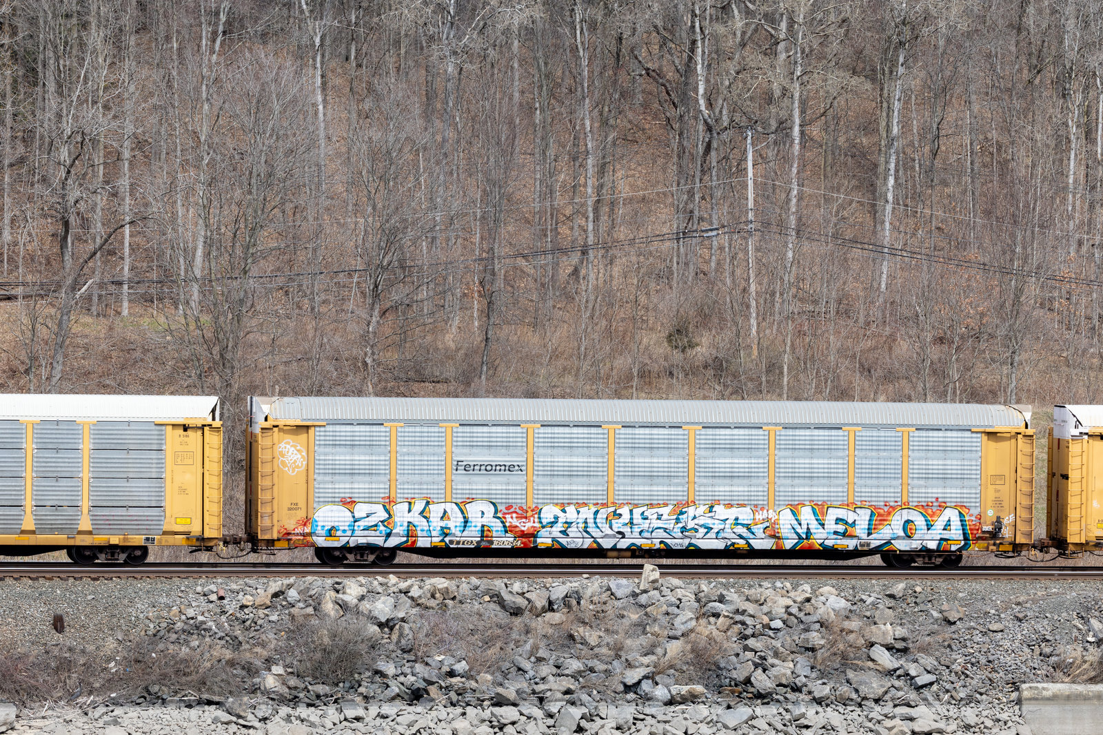 TTGX 160634