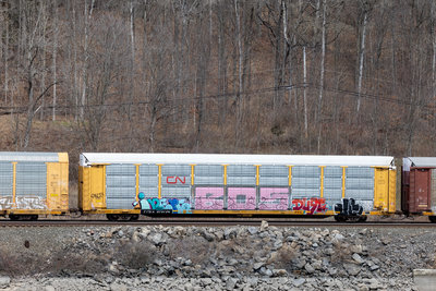 TTGX 973726