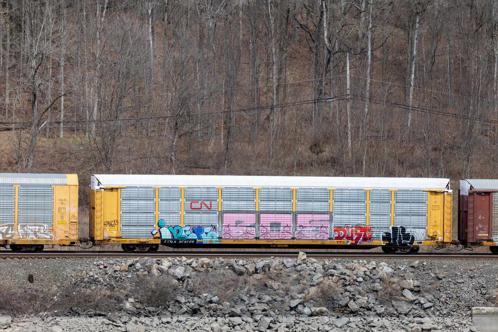 TTGX 973726