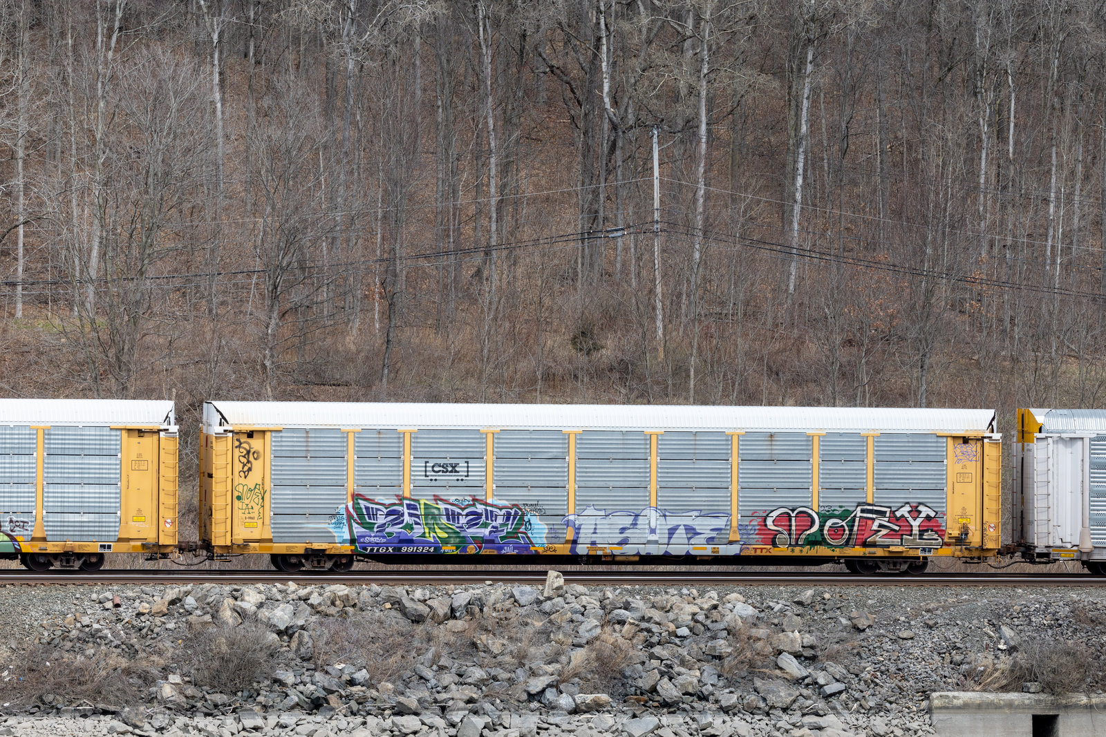 TTGX 991324