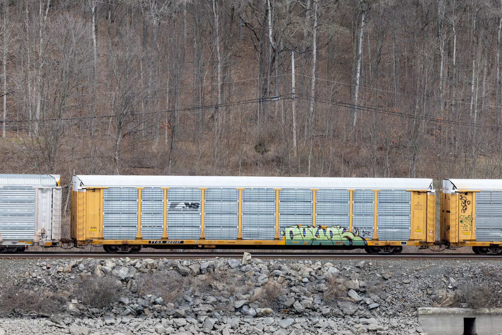 TTGX 922137