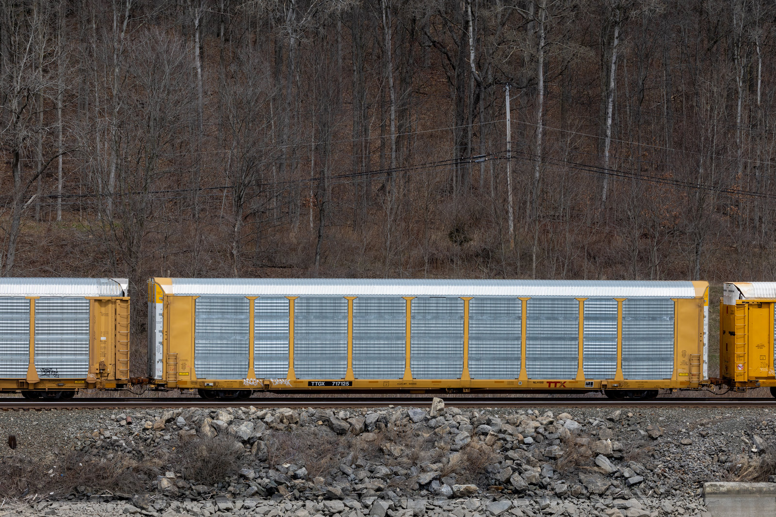 TTGX 717125