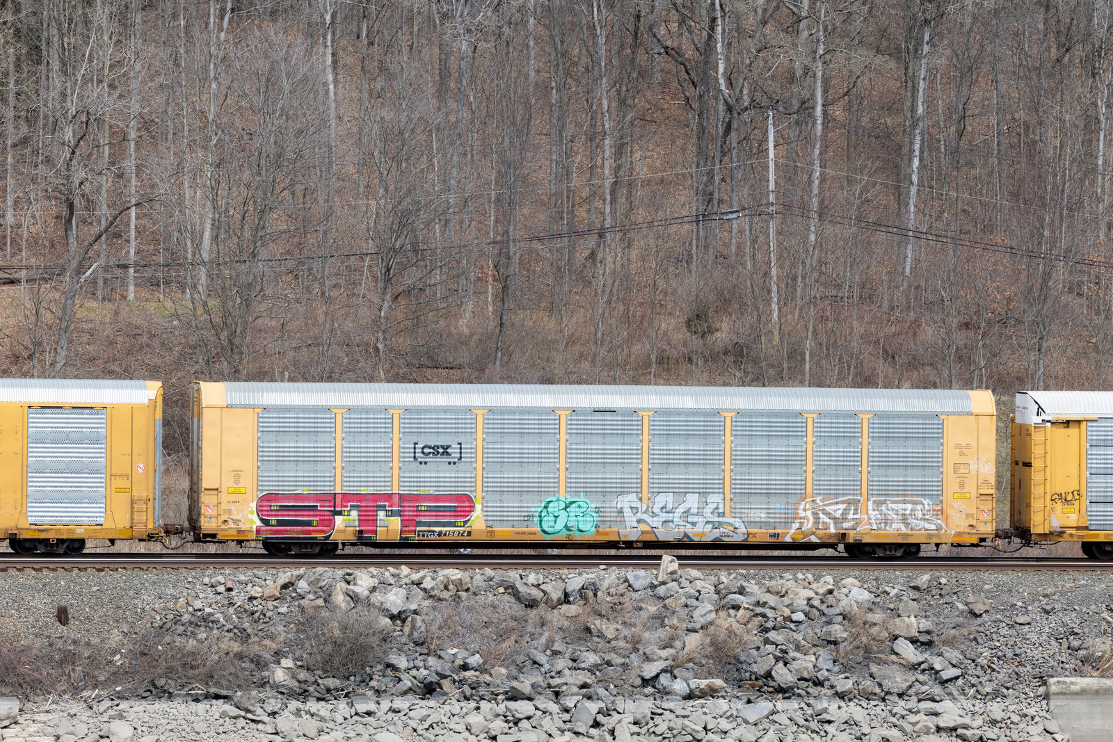 TTGX 715874