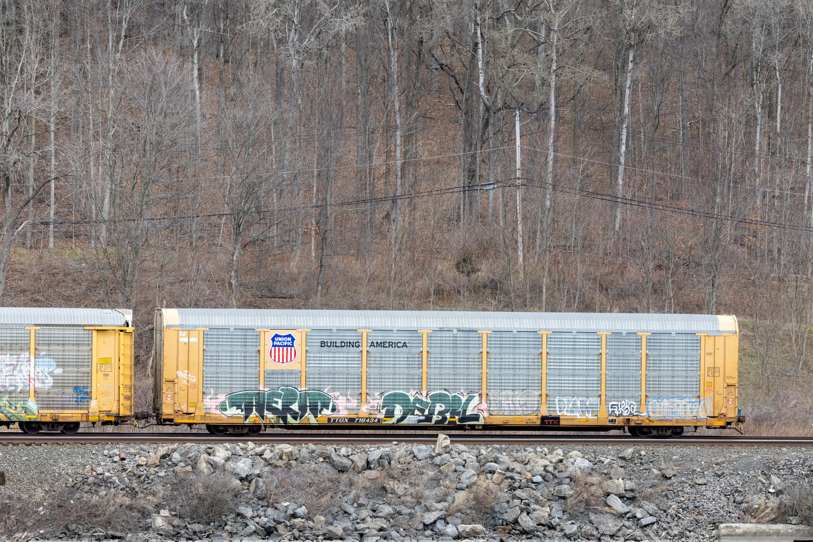 TTGX 716434