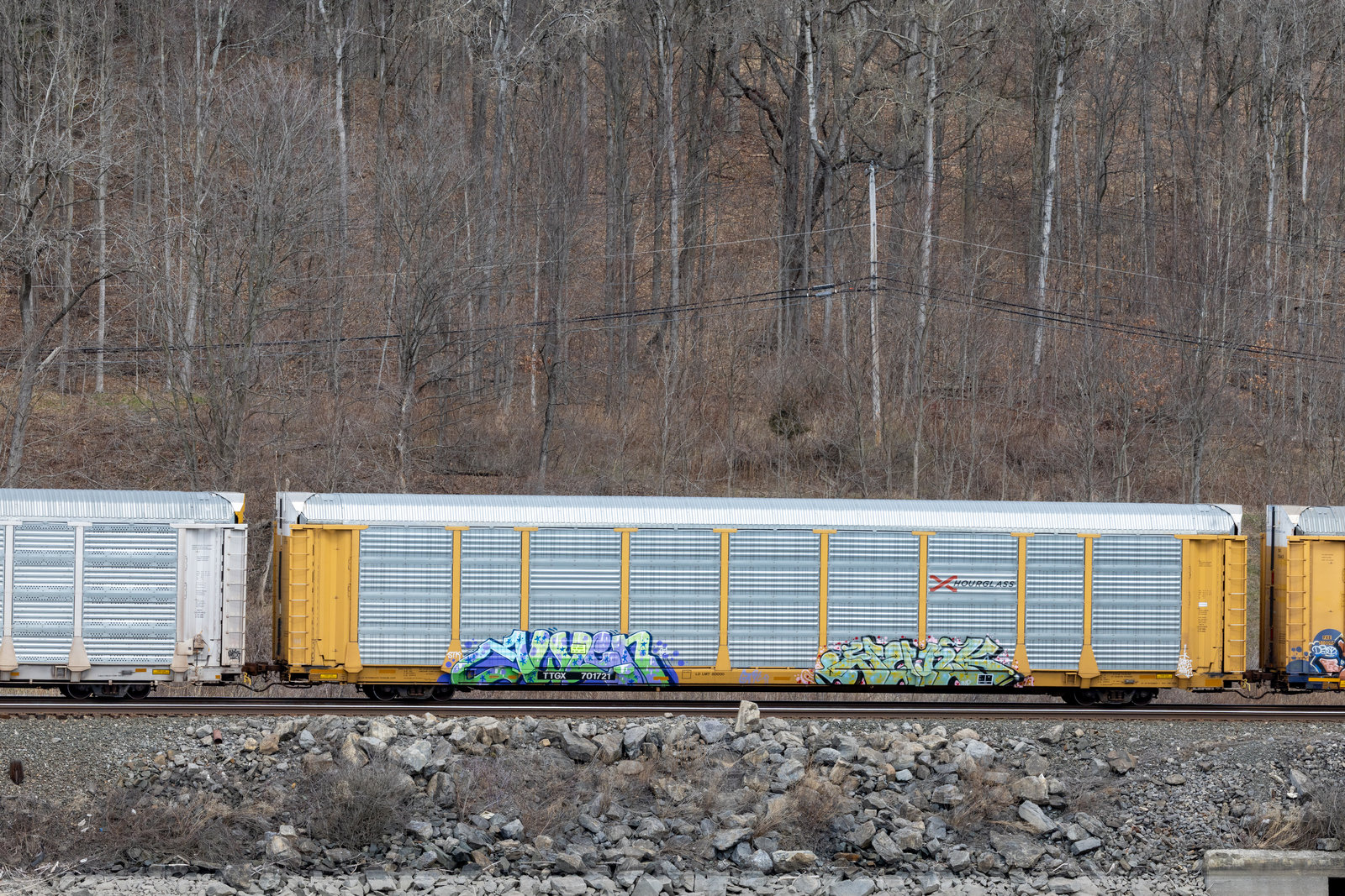 TTGX 701721