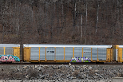TTGX 708625