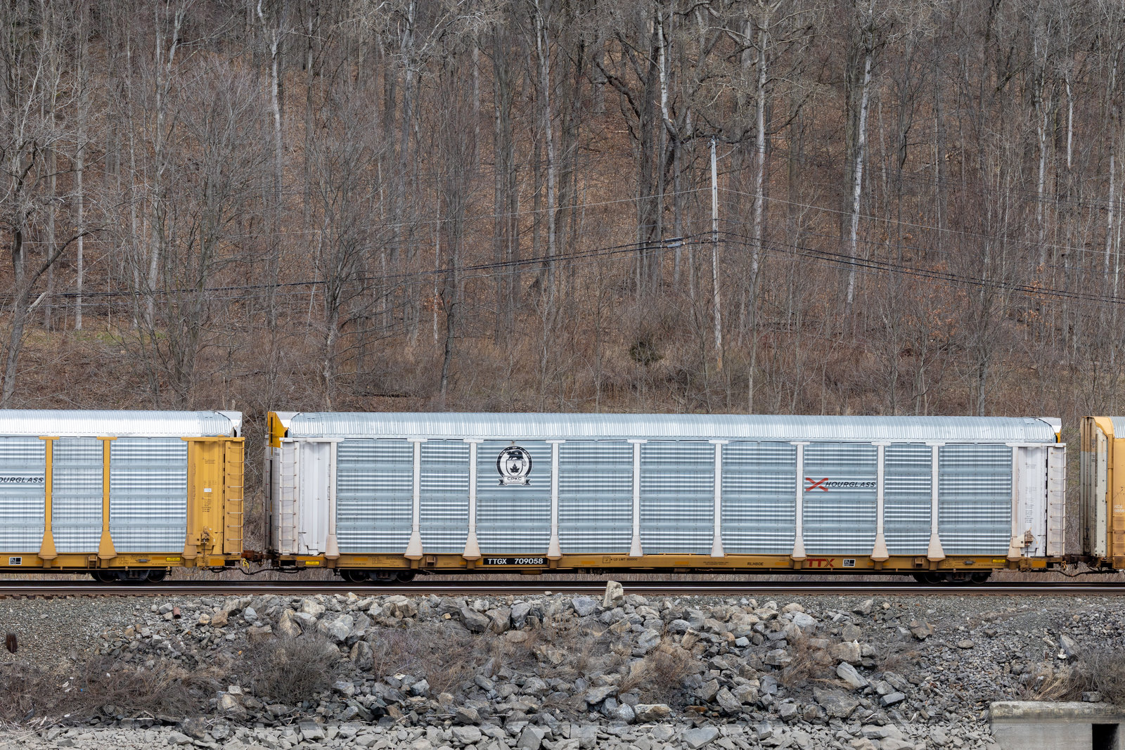 TTGX 709058