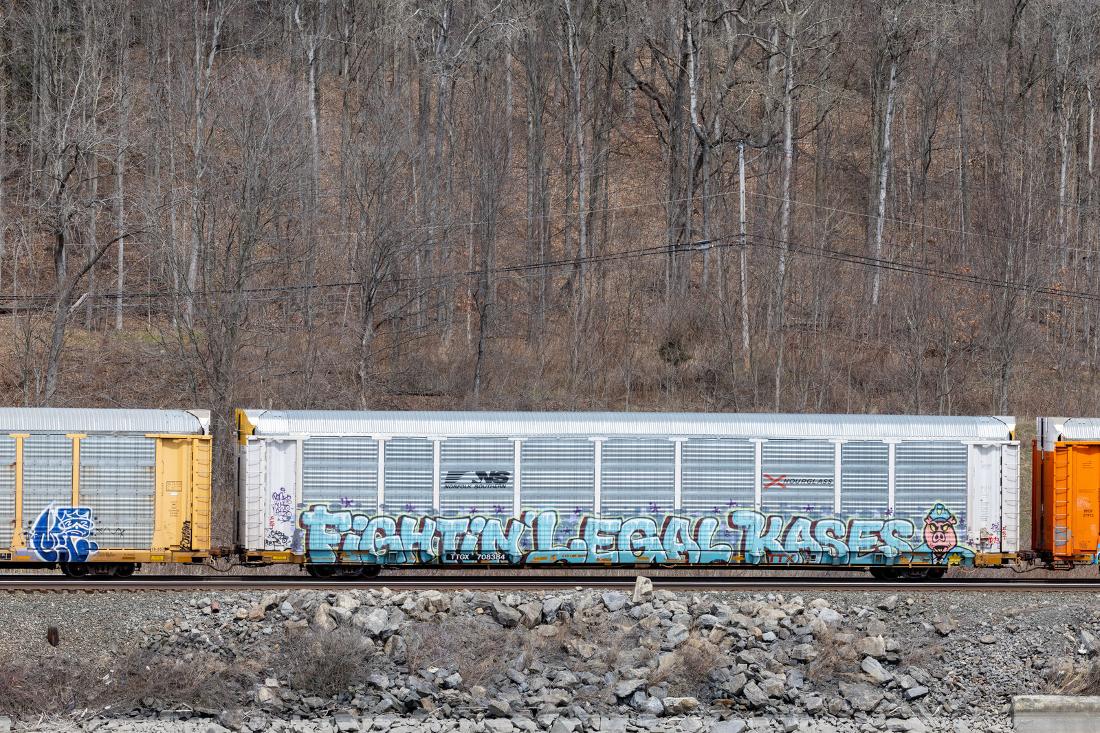 TTGX 708384