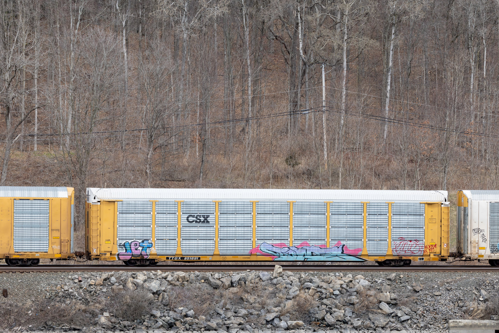 TTGX 851691