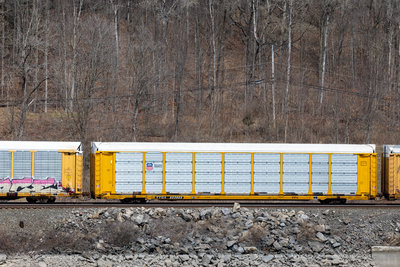 TTGX 853905