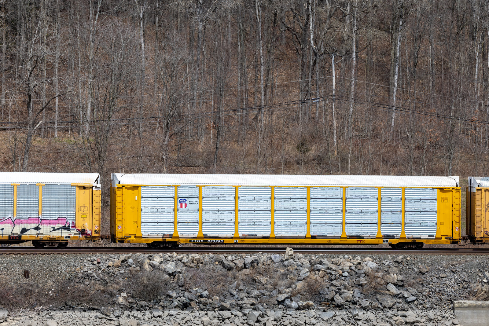 TTGX 853905