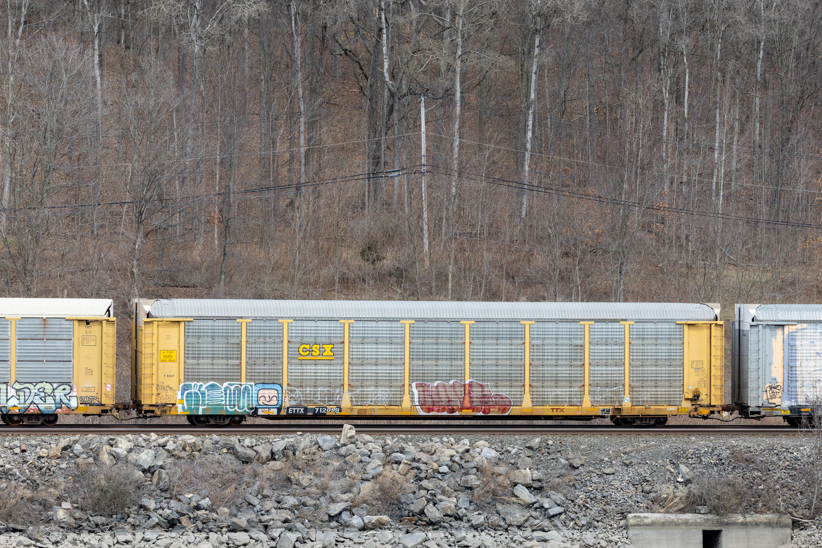 ETTX 712098