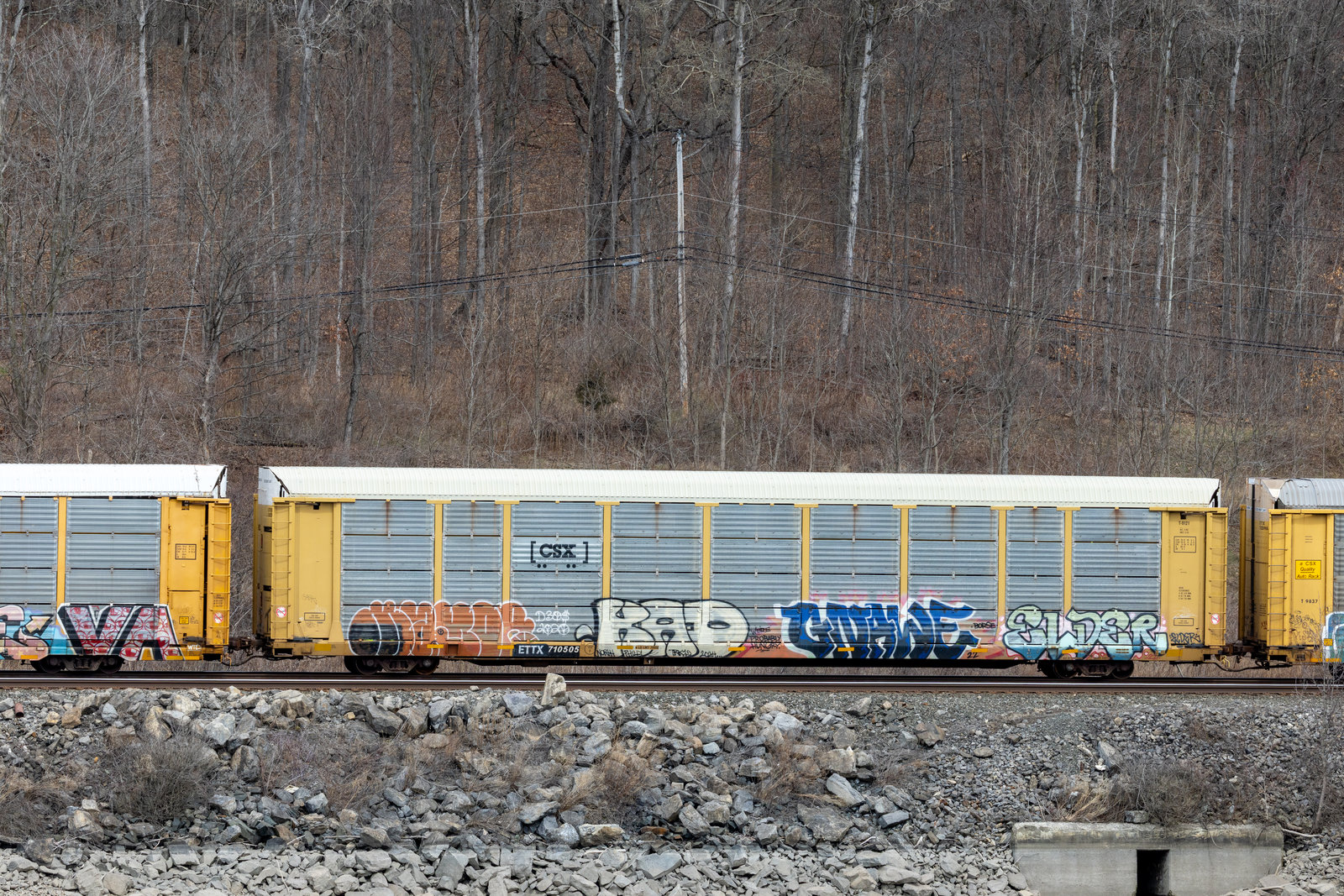 ETTX 710505