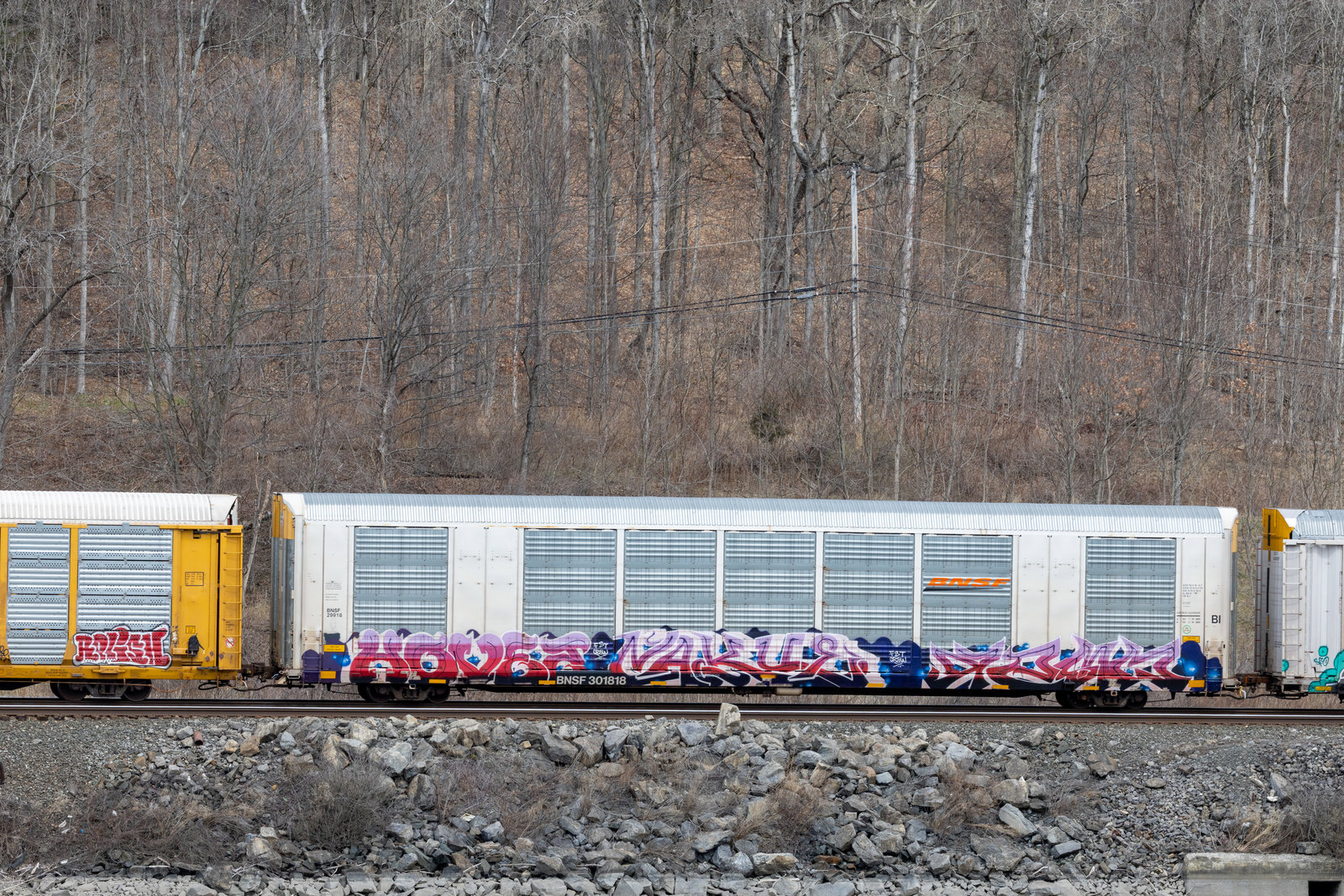 BNSF 301818
