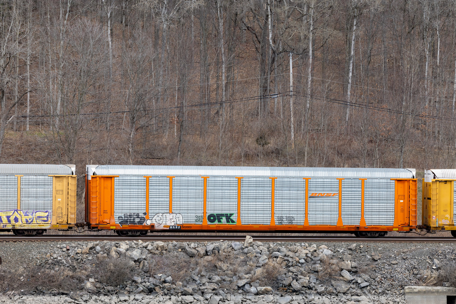 BNSF 302003