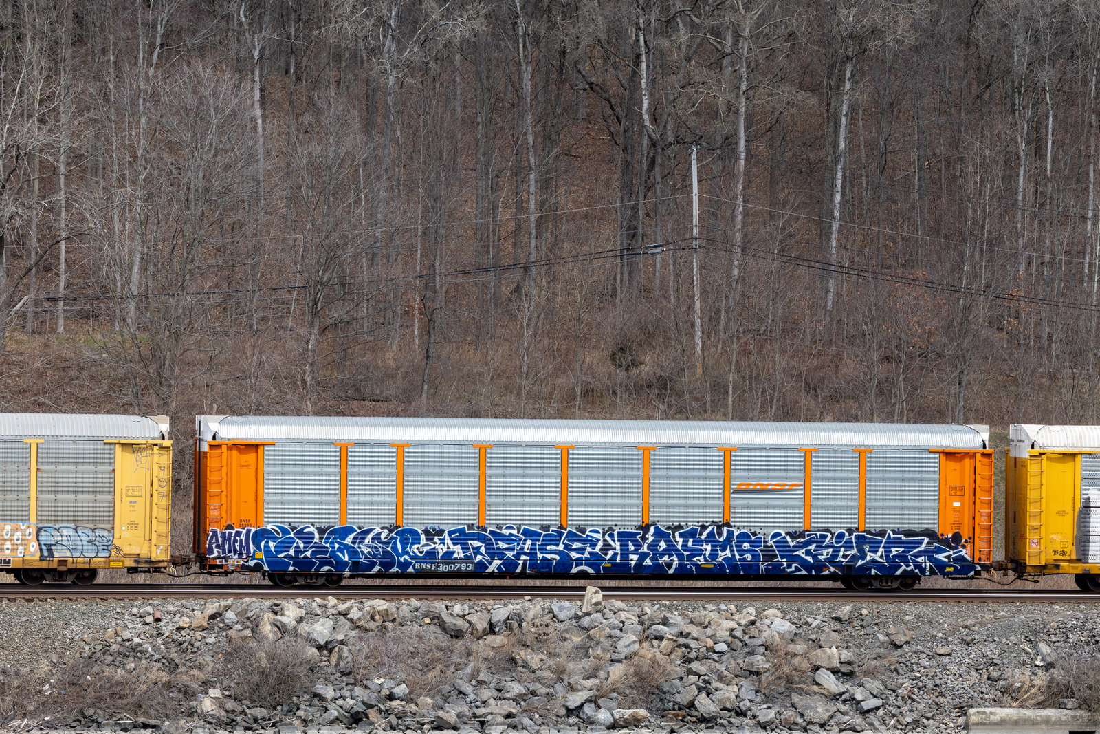 BNSF 300793