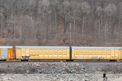 BTTX 880368