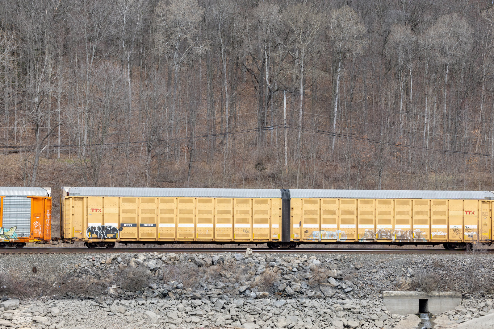 BTTX 880368