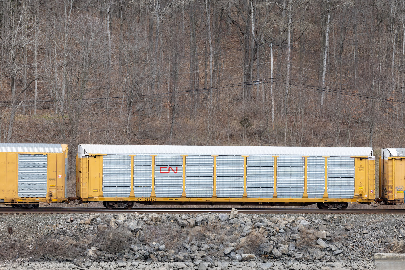 CN 710899