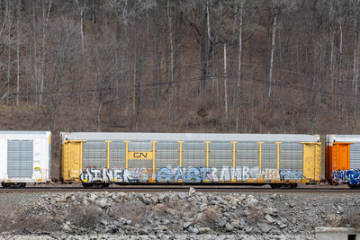 CNA 712703
