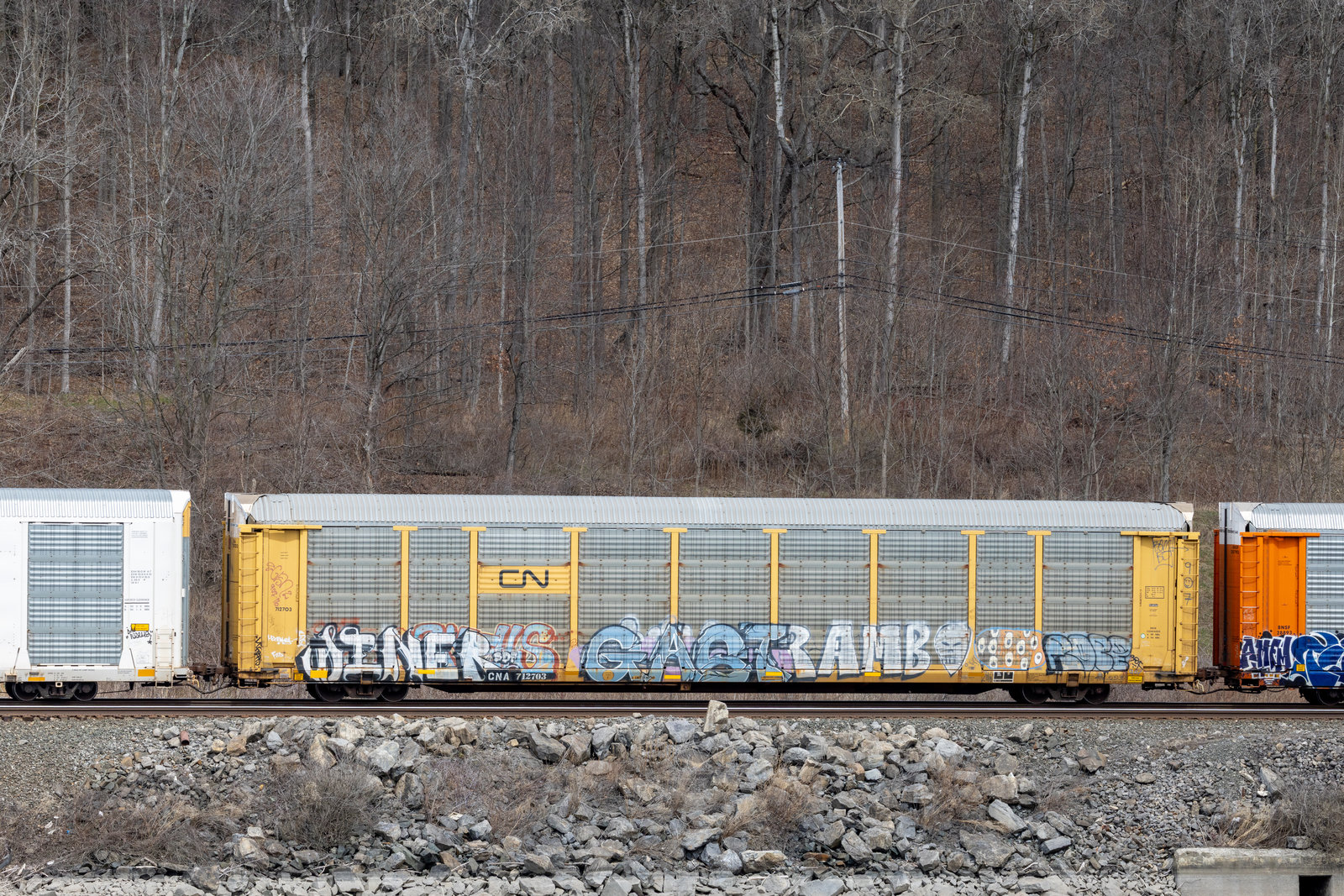 CNA 712703