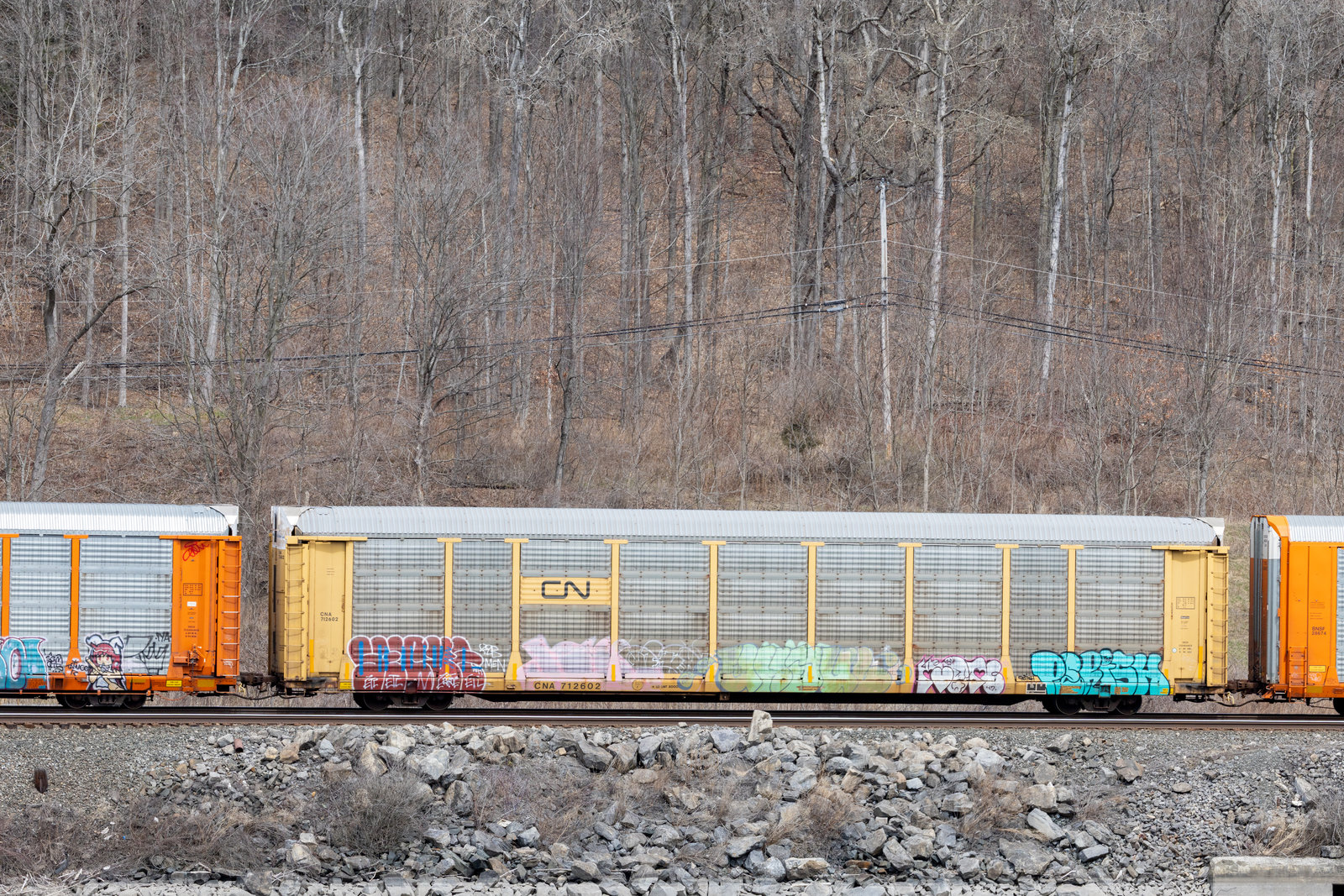 CNA 712602