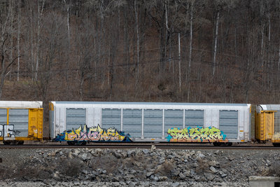 SFLC 307512