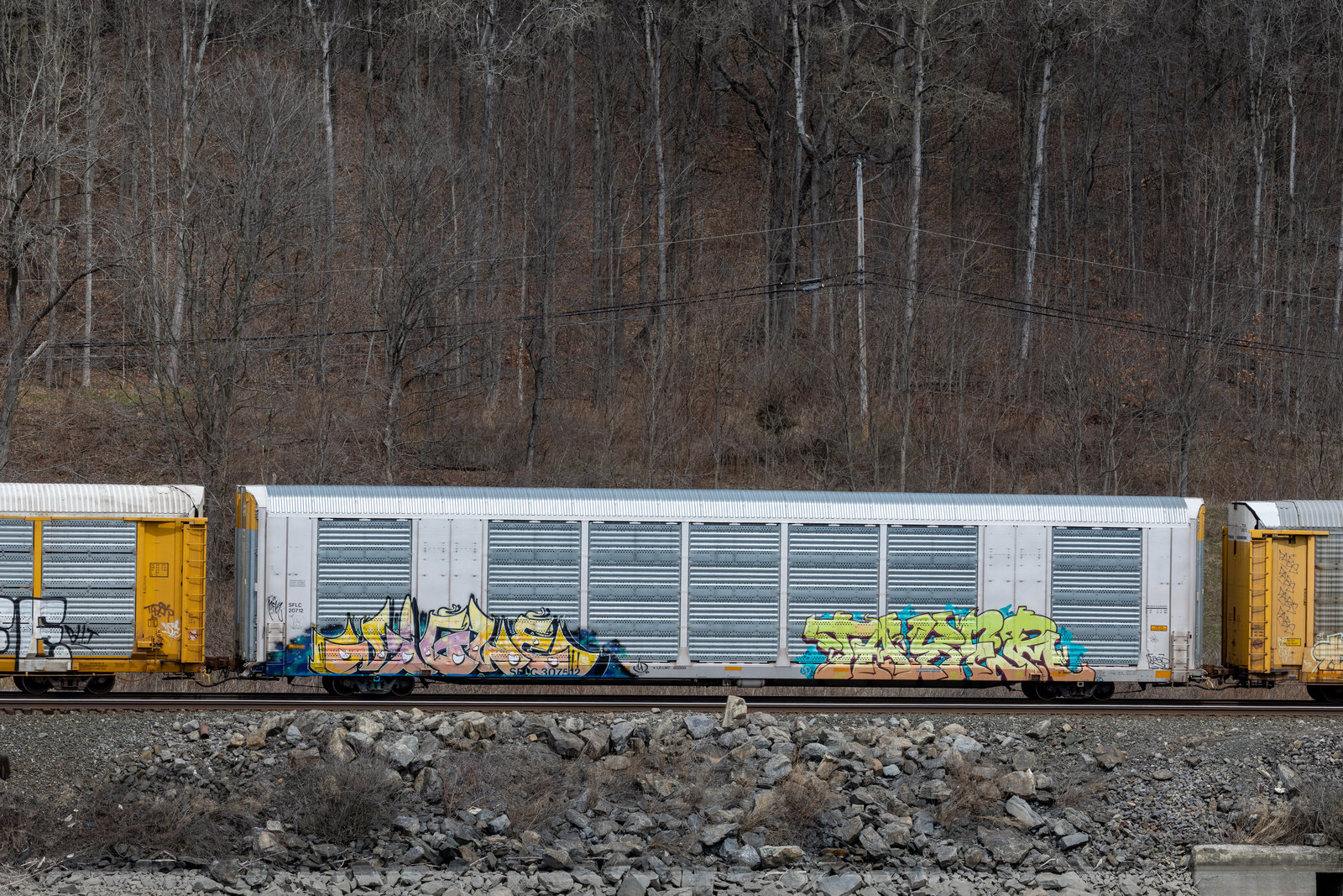 SFLC 307512