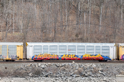 SFLC 307322
