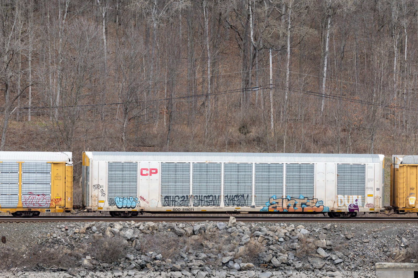 SOO 519071