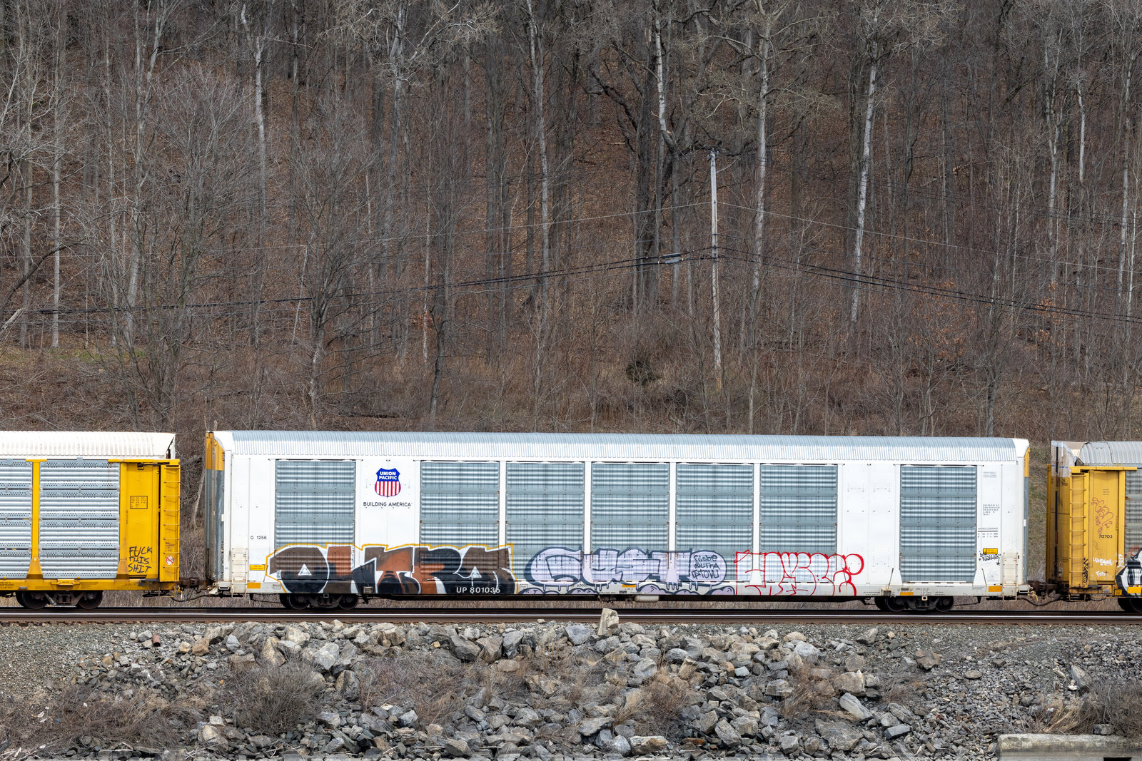 UP 801036