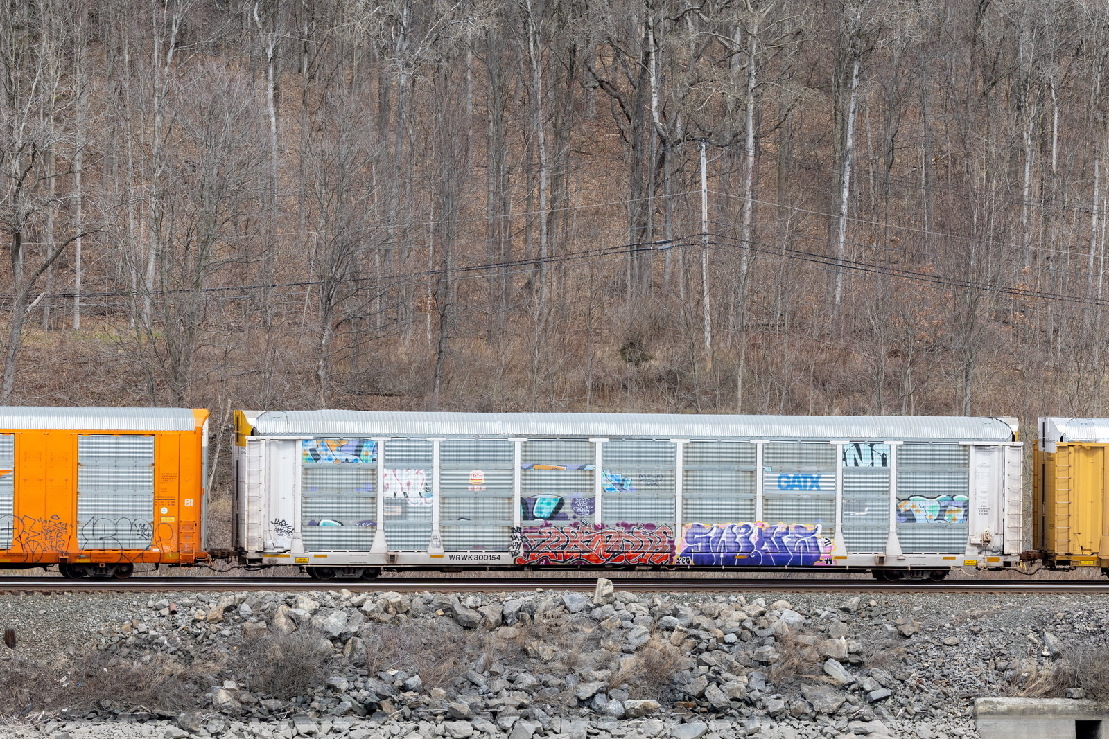 WRWK 300154