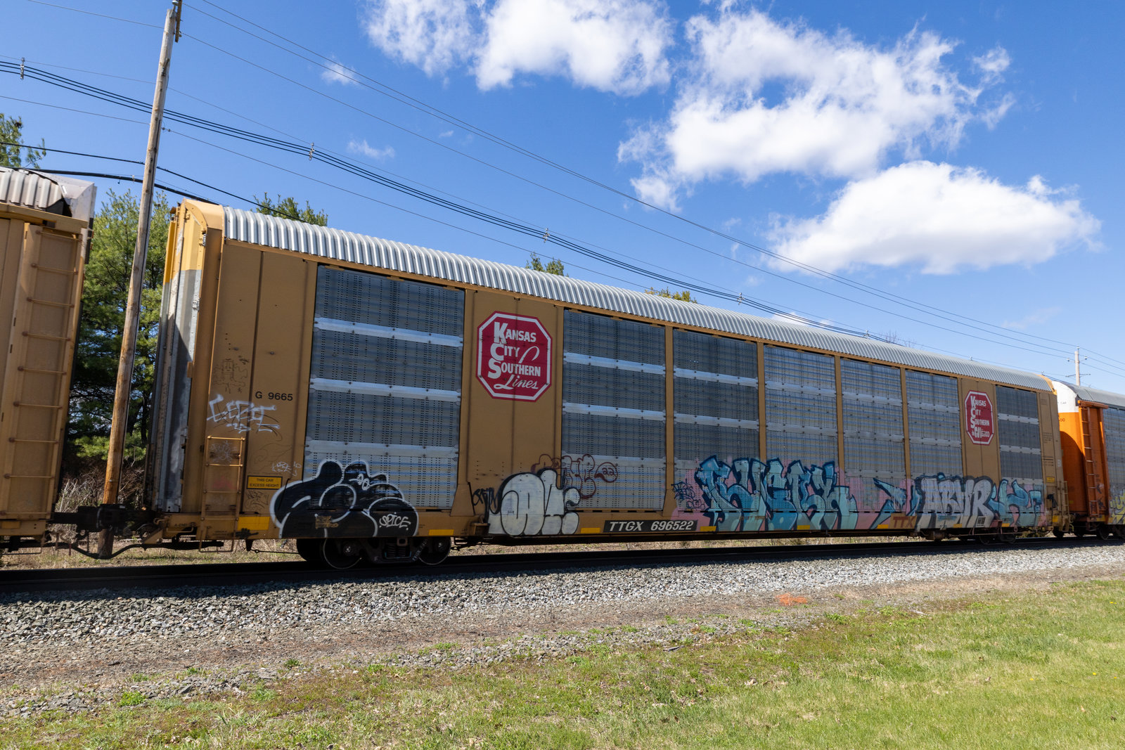 TTGX 696522
